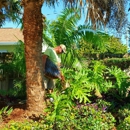 All Quality Lawn Care & Maintenance - Landscaping & Lawn Services