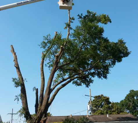 Louisiana Tree Company, LLC. - River Ridge, LA