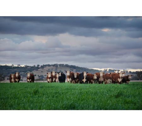 Agripath Pty Ltd - Tamworth, NSW