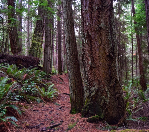 South Whidbey State Park - Freeland, WA