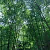 Lamar Alexander Rocky Fork State Park gallery