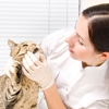 Tender Loving Care Animal Hospital Pc gallery