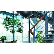 Gallery Image Number 6