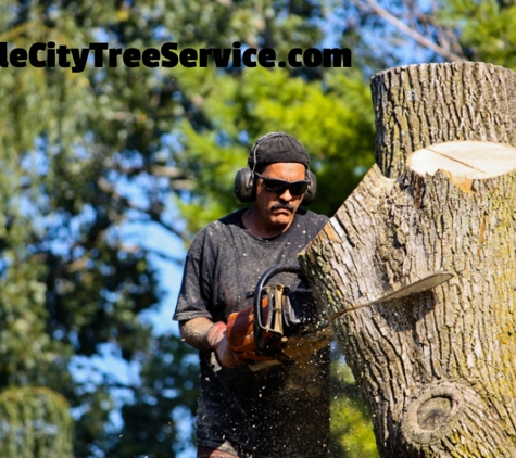 Seattle City Tree Service - Seattle, WA