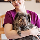 Ashburn Village Animal Hospital - Veterinarians