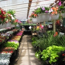 Seasonal Corner - Garden Centers