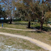 Gallery Image Number 3
