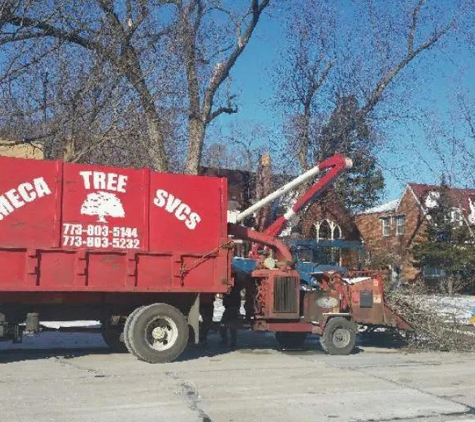 Meca Tree Service - Maywood, IL