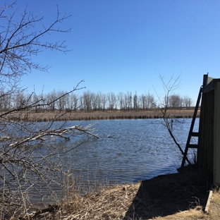 Tifft Nature Preserve - Buffalo, NY