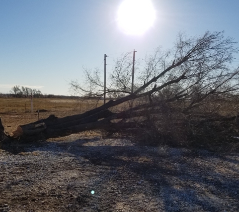 JRP Trees and Landscaping - Pampa, TX. Tree Removal