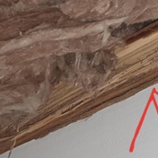 Gallery Image Number 6