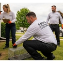Animal Exterminators of Columbus - Animal Removal Services