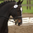 Inner Circle Farm, ltd - Horse Training