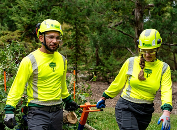 Bartlett Tree Experts - St. Paul, MN - Saint Paul, MN