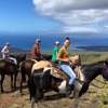 Triple L Ranch Maui Horseback Tours gallery