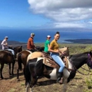 Triple L Ranch Maui Horseback Tours - Tourist Information & Attractions
