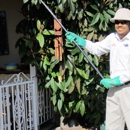 Pests R US Pest Control - Tree Service