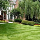 Bear Creek Lawn Services - Lawn Maintenance