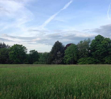 Topsmead State Forest - Litchfield, CT