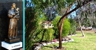 Guildford Cemetery - Cemetery
