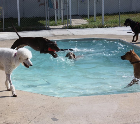 Mugus Pet Resort - Saint Marys, GA