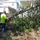 Peppers Tree Service - Tree Service