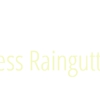 A-Plus  Seamless Raingutters Inc gallery