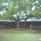 Great Texas Pecan Candy Company