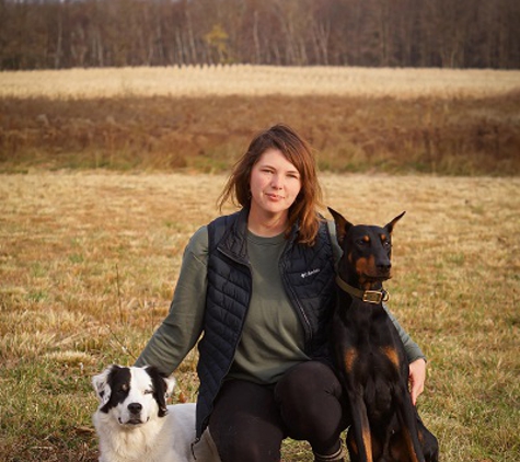 Transition Dog Training - Allendale, MI