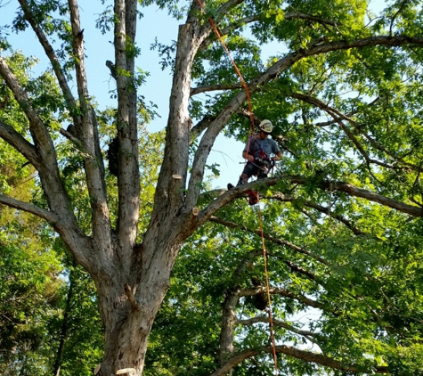 ArborPro Tree Service - Granite Falls, NC