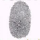 Landmark Fingerprinting