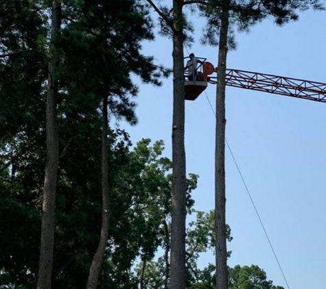 Phelps Tree Service Inc - Creswell, NC