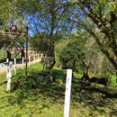 Meadow Creek Farm - Horse Boarding