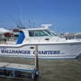 Wallhanger charters