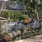 Brown's Tree Care