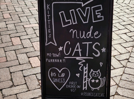 Pounce Cat Cafe - Savannah, GA