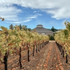 Trione Vineyards and Winery