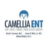 Camellia ENT gallery