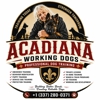 Acadiana Working Dogs gallery