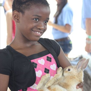 Ponies & Petting Zoo of Miami - Hialeah, FL