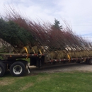 Robinson Tree Farm & Nrsy Inc - Landscaping & Lawn Services