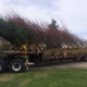 Robinson Tree Farm & Nrsy Inc