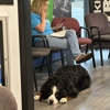 Walker Tire Point S gallery