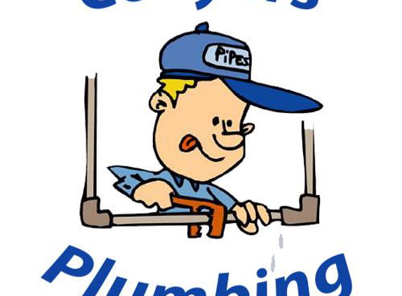 Wayne Conyers Plumbing Inc - Dover, FL