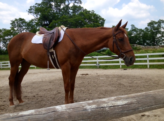 Bainbridge Equestrian - Chagrin Falls, OH