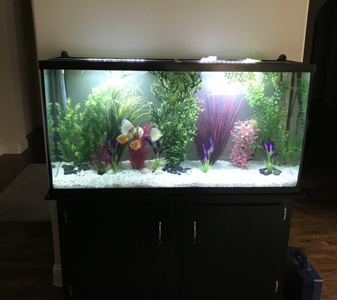 My Aquarium Guy, LLC - Allen, TX