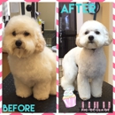 All Fur Pet Grooming - Pet Grooming