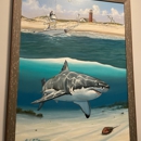 AWSC Shark Center Chatham - Tourist Information & Attractions