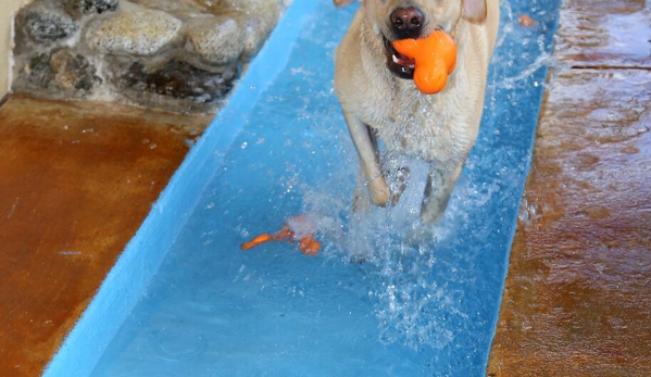 Hefner Road Pet Resort - Oklahoma City, OK