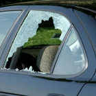 New & Used Discount Auto Glass
